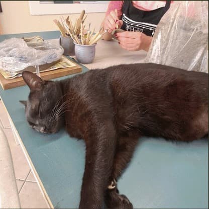 Gato preto descansando sobre a mesa de trabalho do ateliê
